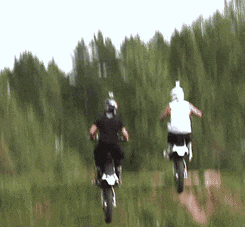 Best Captions for Bike Lovers for Instagram