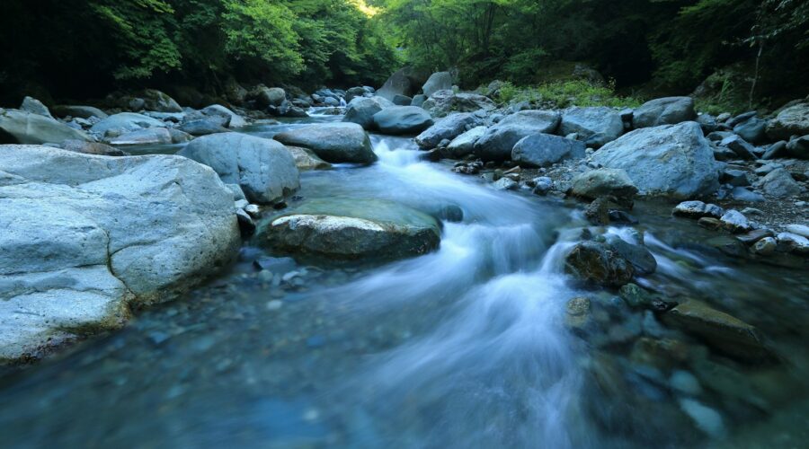 body river surrounded by dress