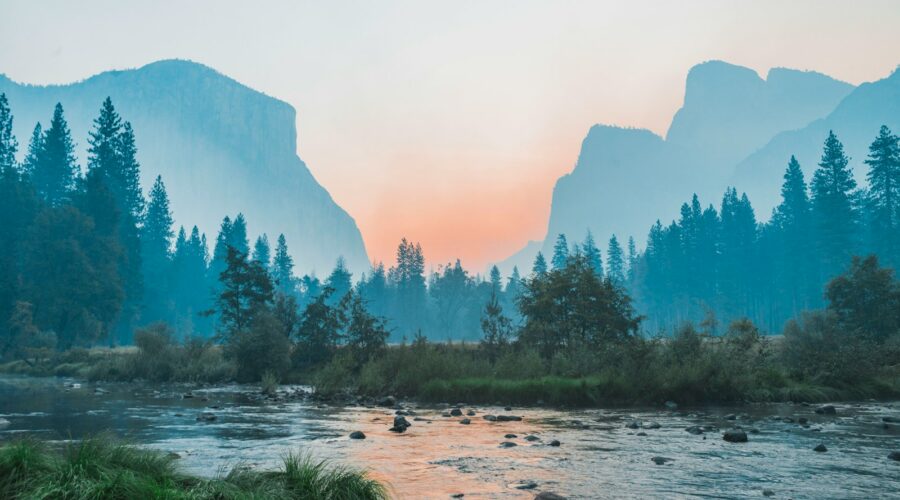 body of water surrounded by trees