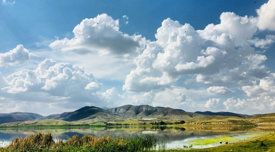 green grass field near lake under white clouds and blue sky during daytime