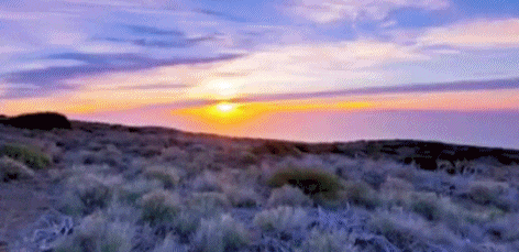 Best Captions for Nature Love for Instagram