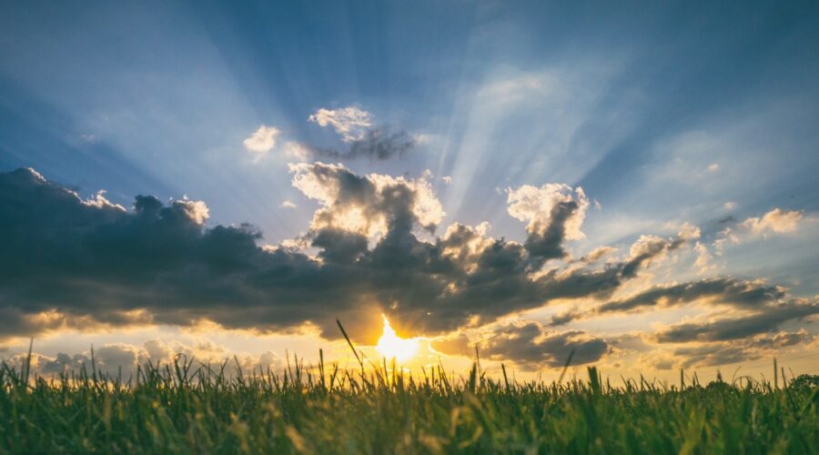 the sun is setting over a field of grass