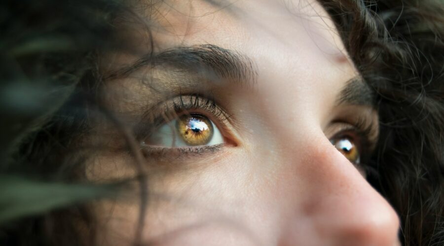 closeup photo of person